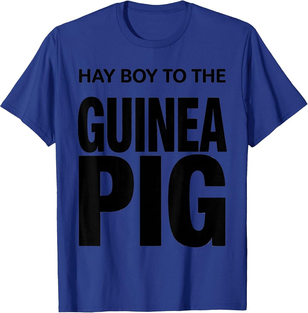 Hay Boy To The Guinea Pig Cute Cavy Lover Humor T-Shirt - Royal Blue