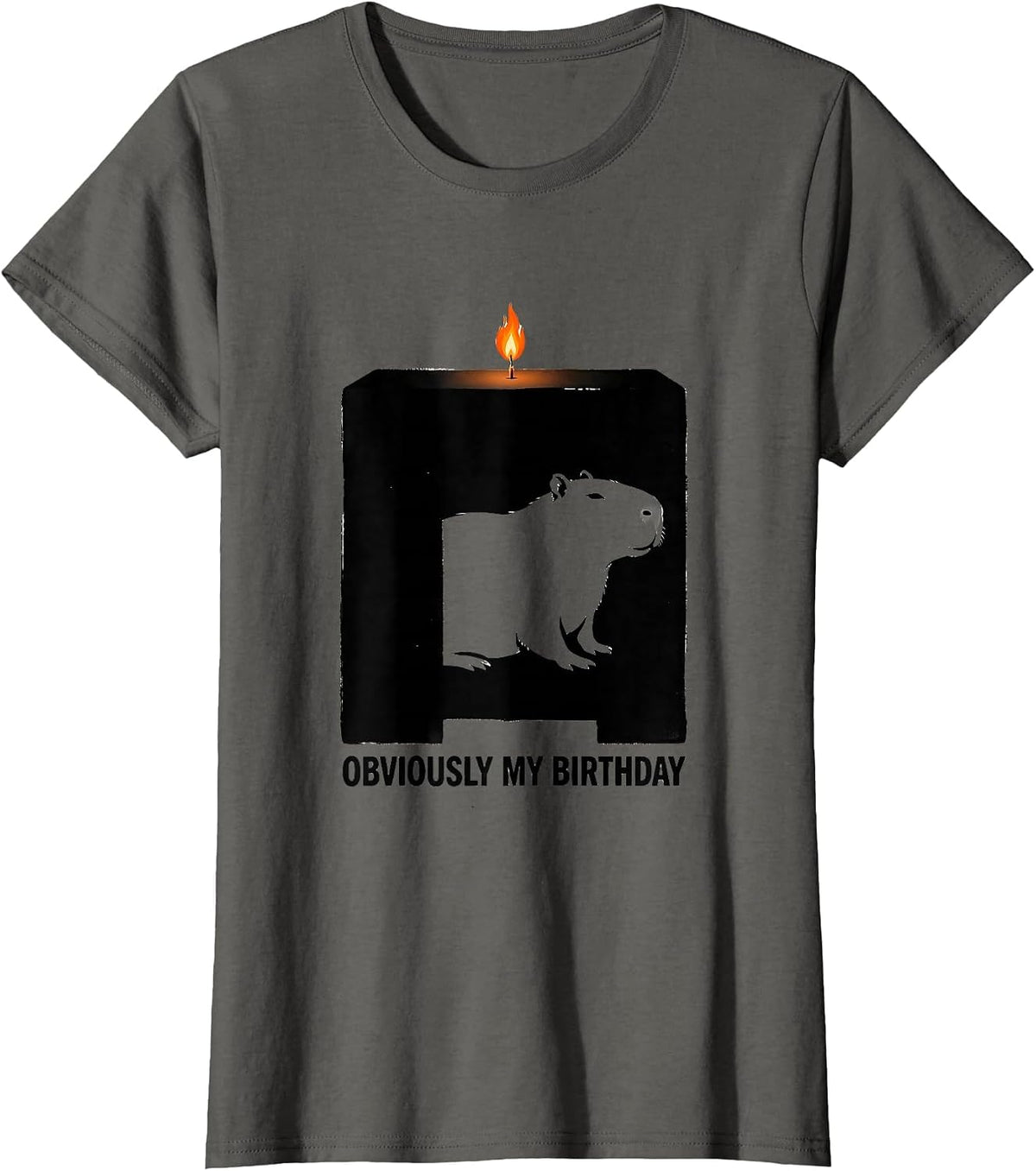 Women's Obviously My Birthday Kawaii Capybara Birthday To Me Cute T-Shirt - Asphalt Grey