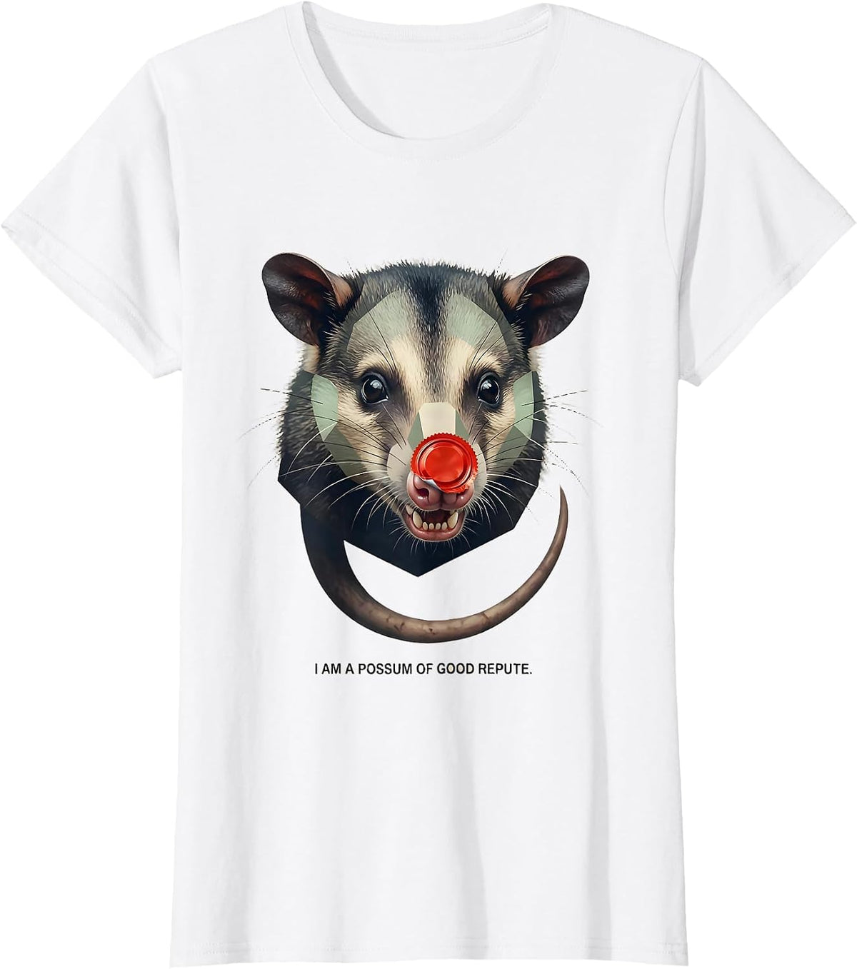 I Am A Possum Of Good Repute Funny Opossum Meme Animal Lover T-Shirt - White