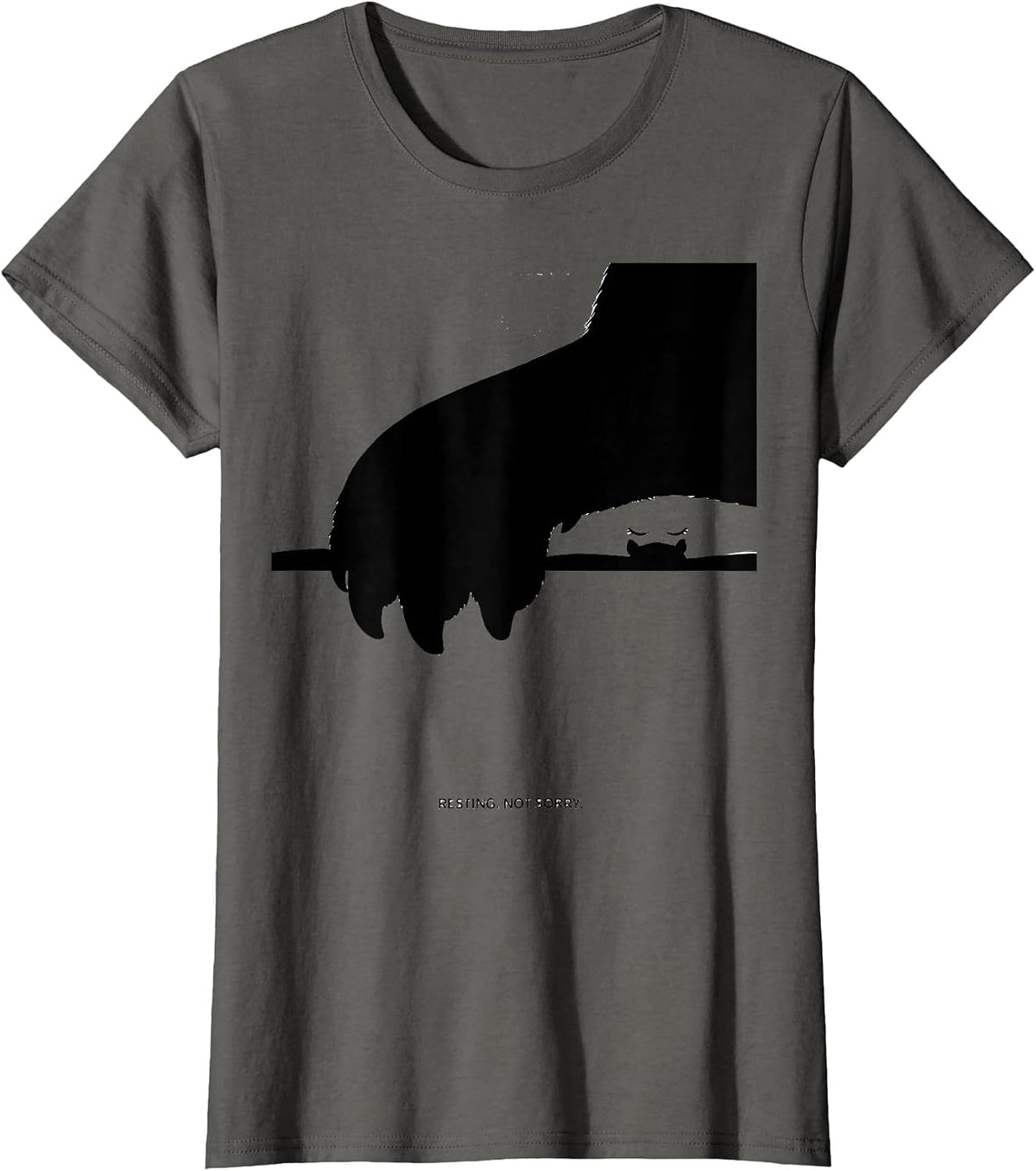 Women's Resting Not Sorry Cute Capybara Sleepybara Pajama T-Shirt - Asphalt Grey