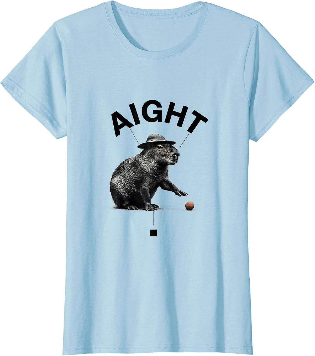 aight Minimal Capybara Meme Animal Humor Funny T-Shirt - Baby Blue
