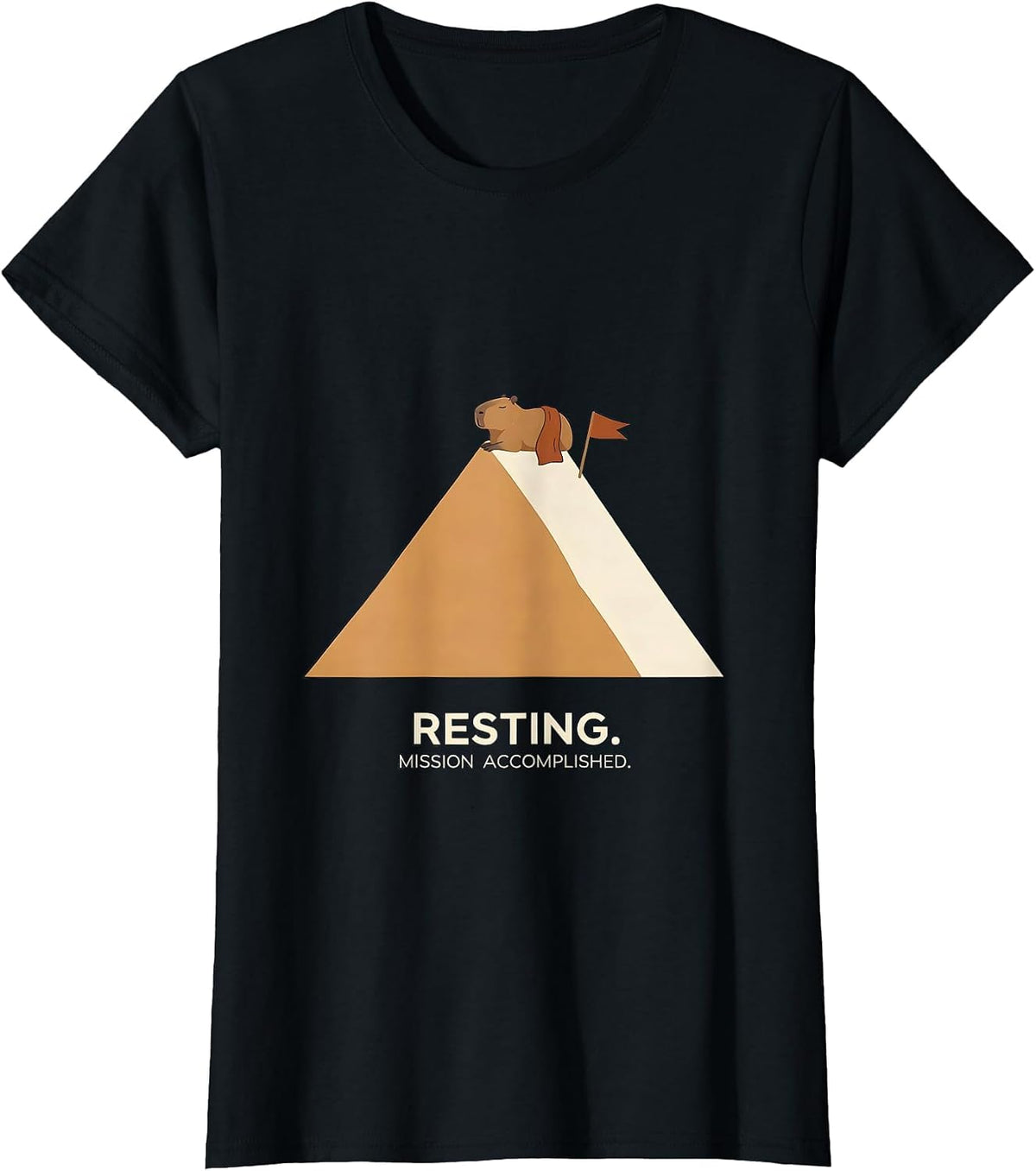Resting Mission Accomplished Cute Capybara Sleepybara Sleep T-Shirt - Black