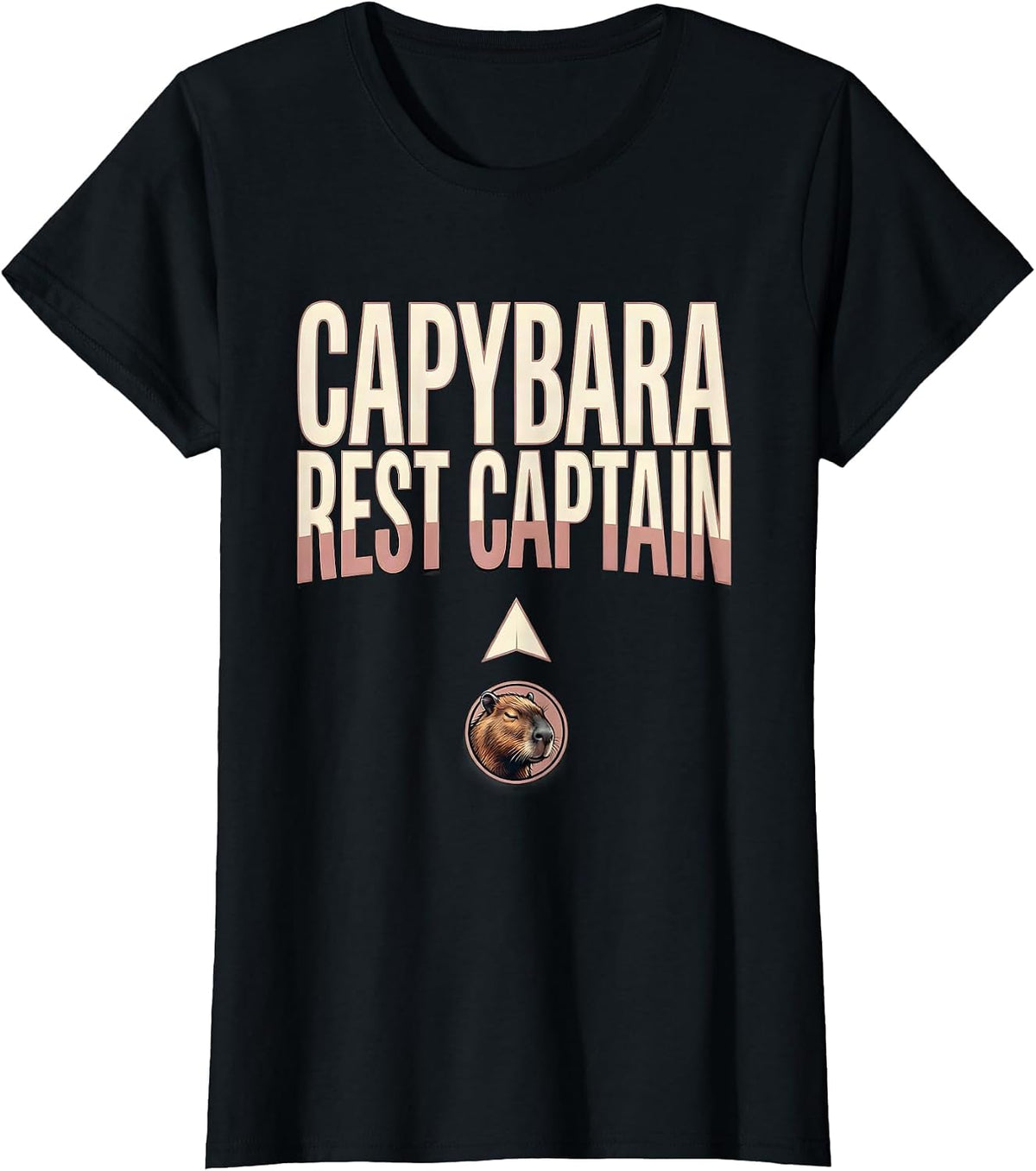 Capybara, Rest Captain Funny Gamer Gaming Meme Humor T-Shirt - Black