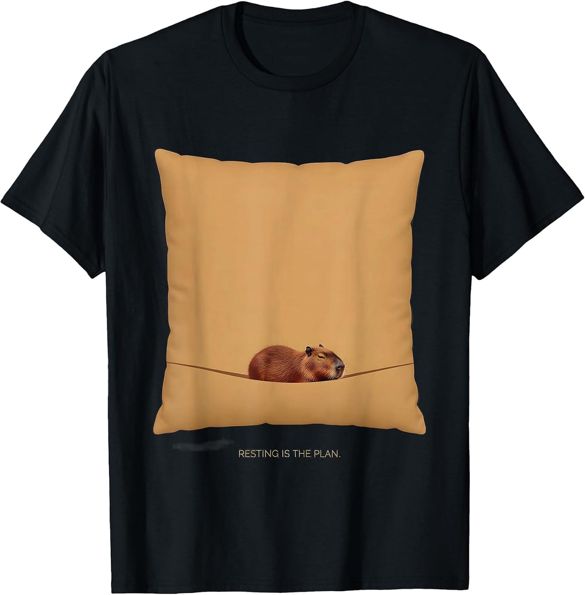 Men's Resting Is The Plan Cute Capybara Sleepybara Nap Lover T-Shirt - Black