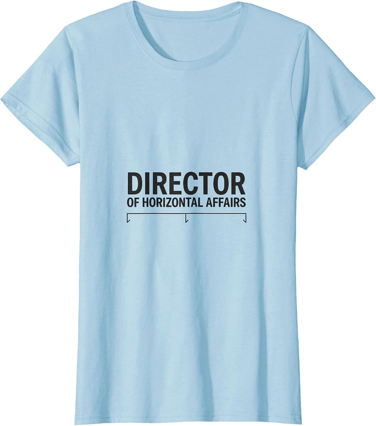 Women's Director Of Horizontal Affairs Funny Panda Novelty Humor T-Shirt - Baby Blue