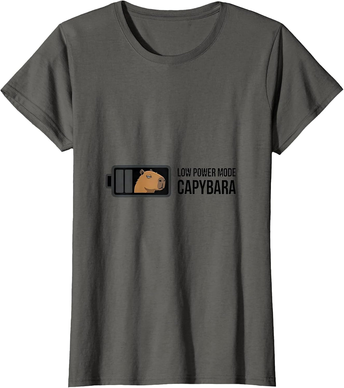 Women's Low Power Mode Capybara Funny Animal Humor Meme T-Shirt - Asphalt Grey