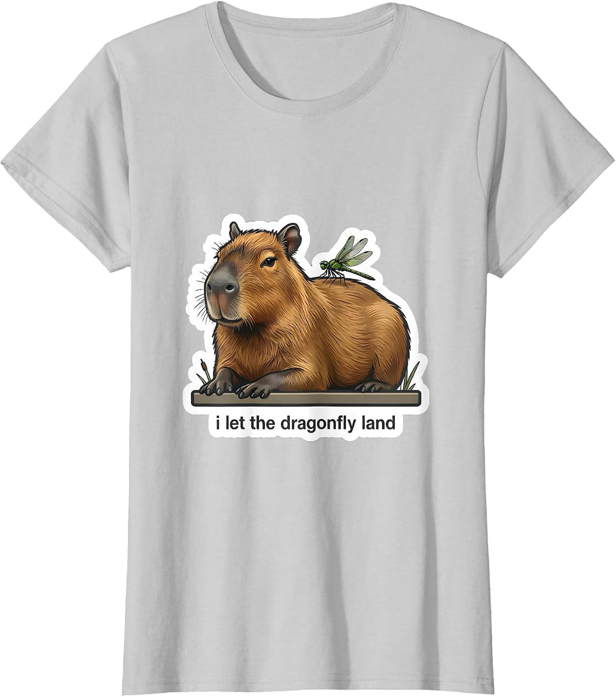 Women's i Let the Dragonfly Land Funny Capybara Meme Animal Humor T-Shirt - Silver Grey
