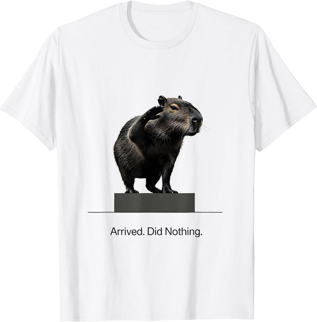 Men's Arrived. Did Nothing Minimalist Capybara Animal Meme Humor T-Shirt - White