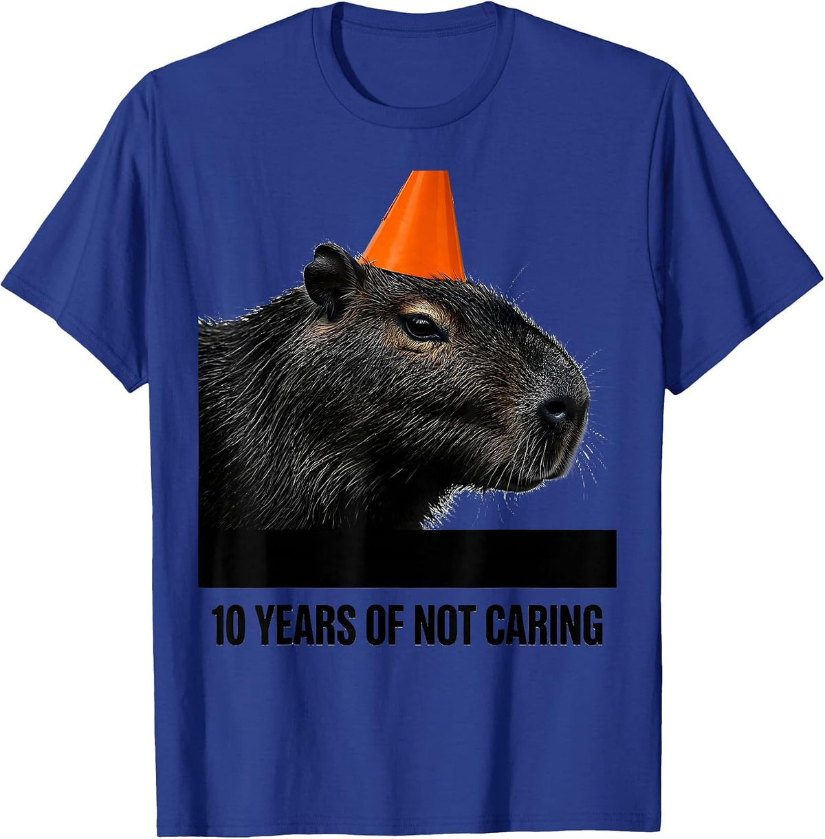 10 Years Of Not Caring Funny Capybara Meme Birthday T-Shirt - Royal Blue