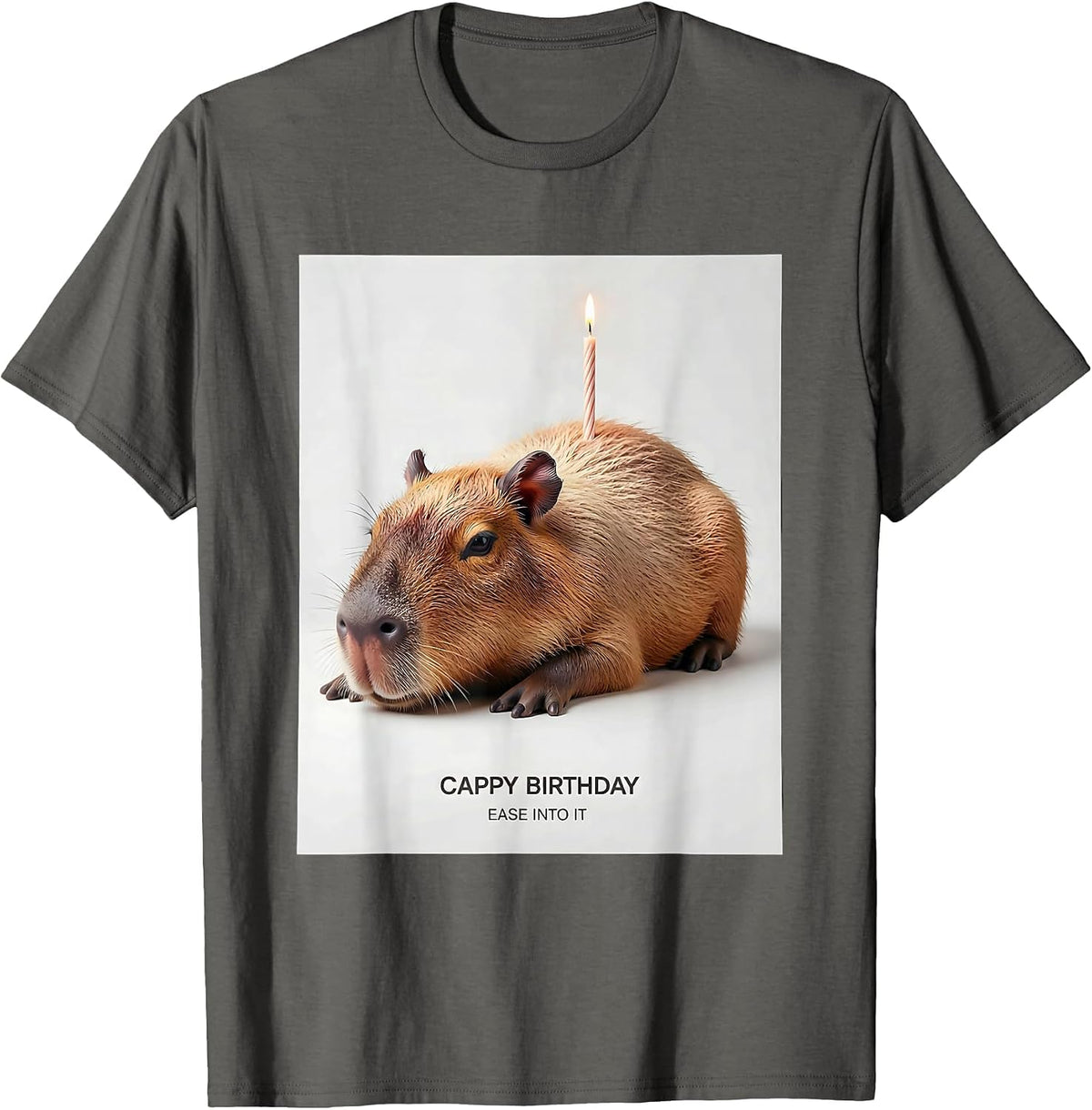 Cappy Birthday Ease Into It Cute Capybara Birthday Humor T-Shirt - Asphalt Grey