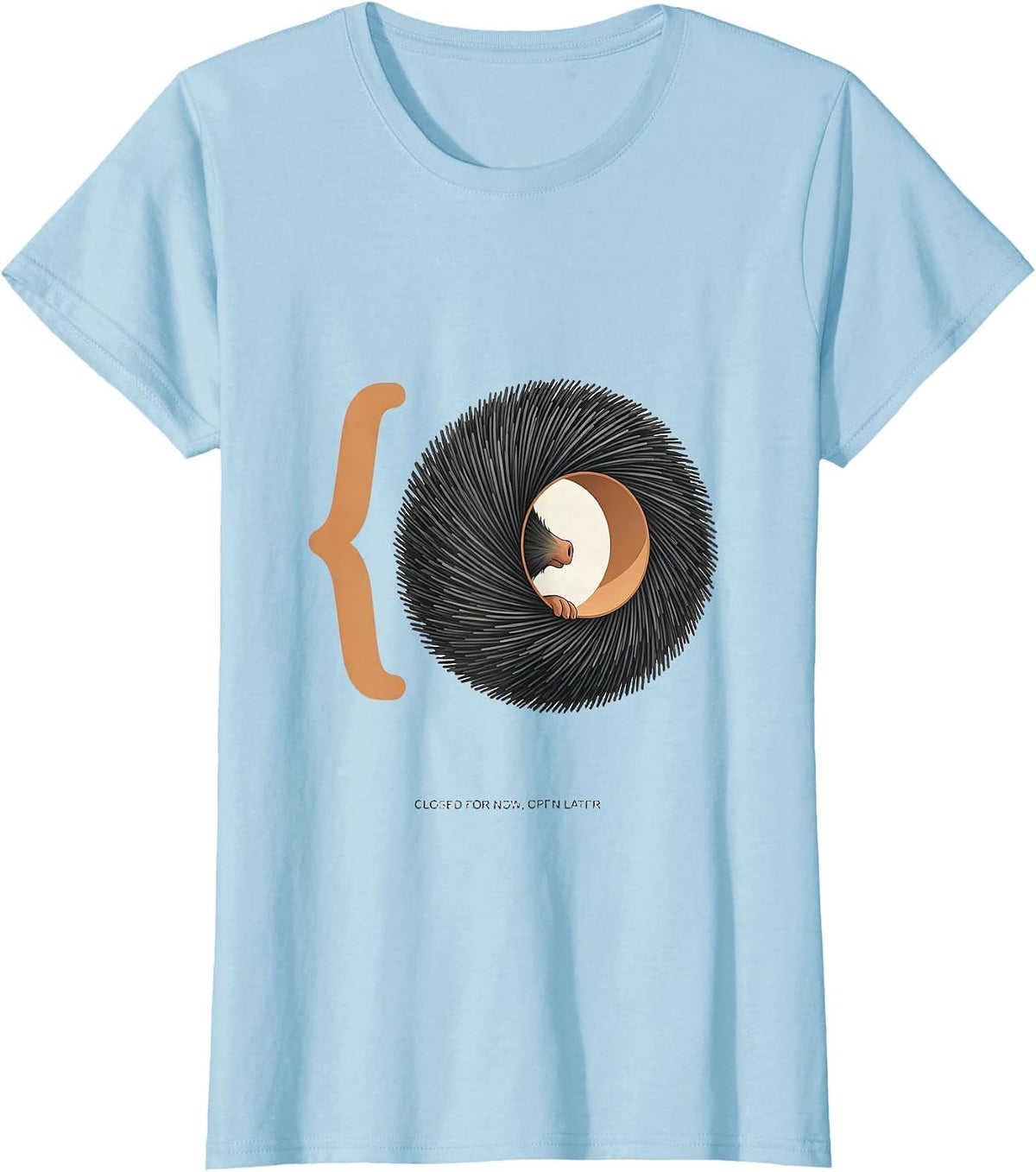 Women's Closed For Now, Open Later Cute Hedgehog Humor Animal Lover T-Shirt - Baby Blue
