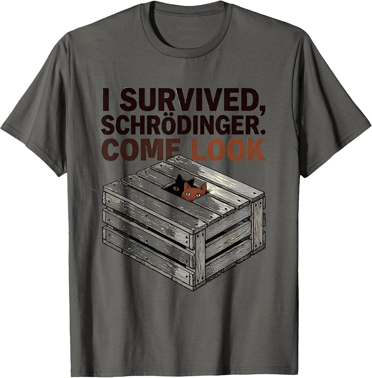 I Survived, Schrödinger. Come Look Funny Quantum Physics T-Shirt - Asphalt Grey