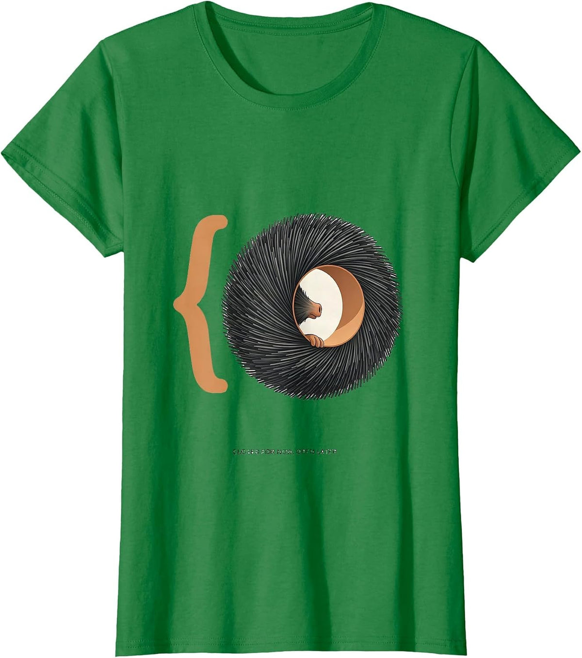 Women's Closed For Now, Open Later Cute Hedgehog Humor Animal Lover T-Shirt - Kelly Green