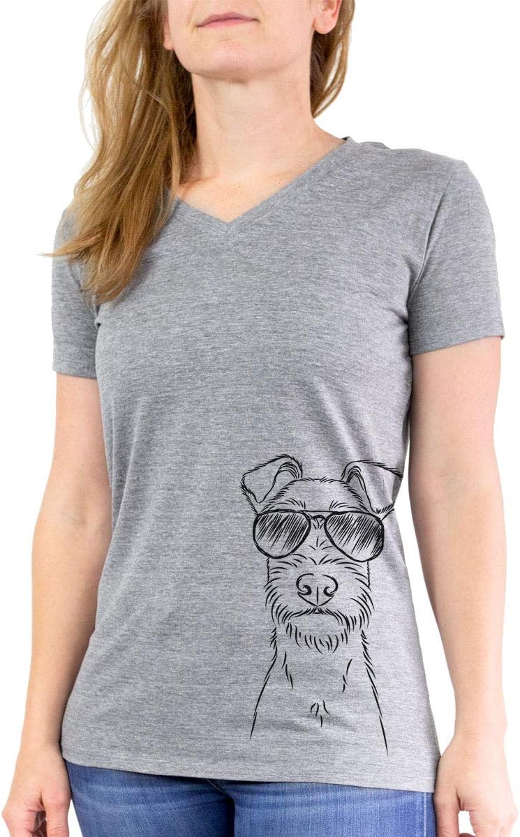Aviator Connor the Irish Terrier Triblend T-Shirt - Grey Modern V-neck