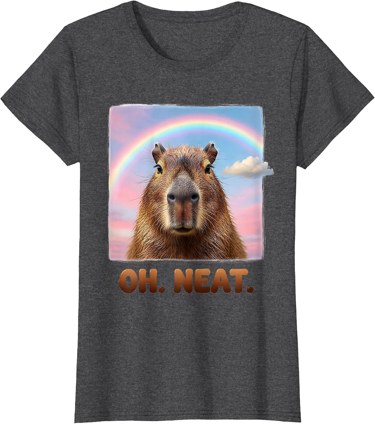 Women's Oh Neat Capybara Meme Humor Dank Animal Lover Gift T-Shirt - Dark Heather Grey