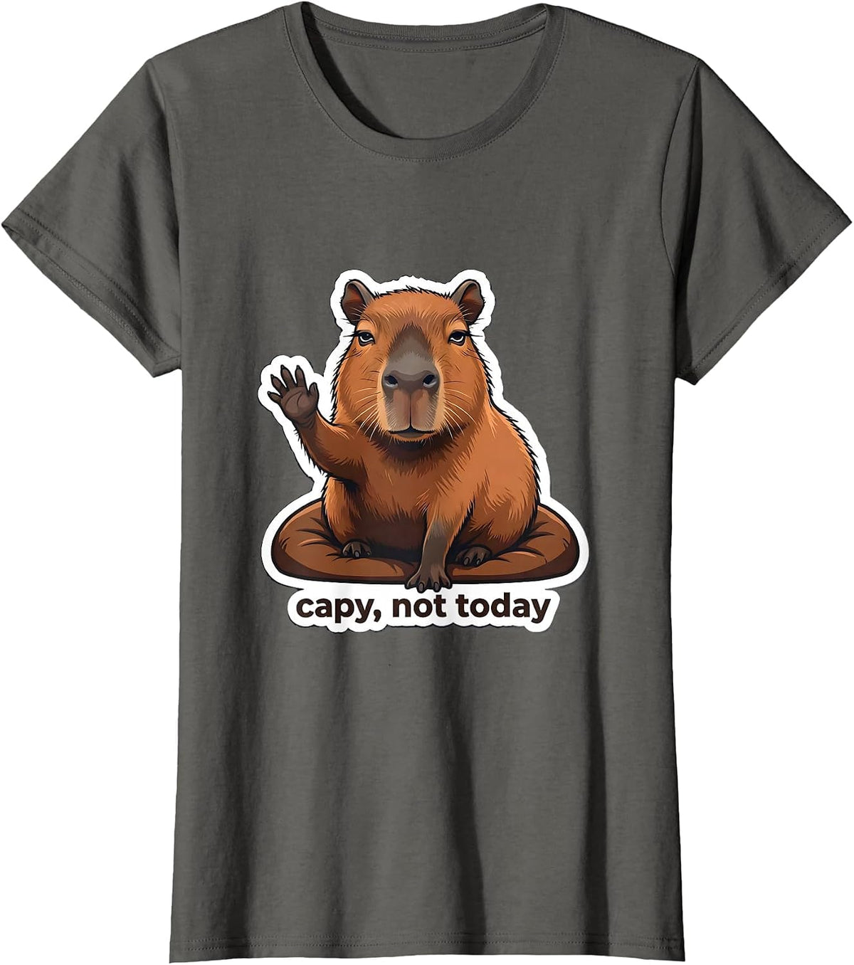 Women's capy, not today Funny Capybara Meme Animal Lover Humor T-Shirt - Asphalt Grey