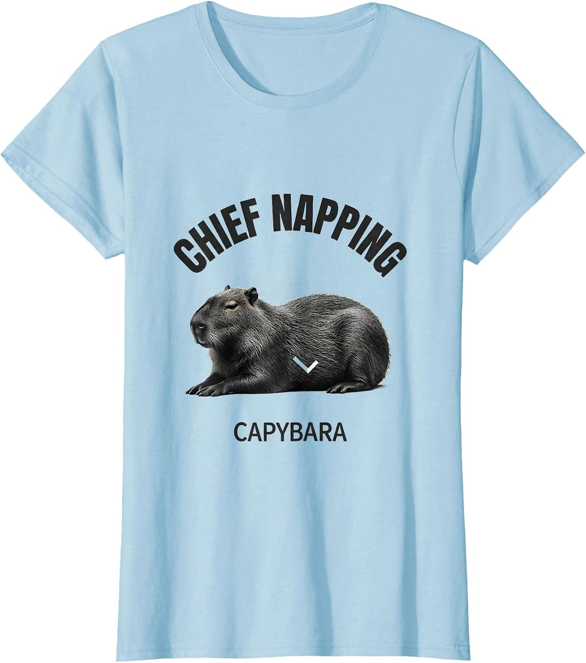 Chief Napping Capybara Funny Gamer Meme Humor T-Shirt - Baby Blue