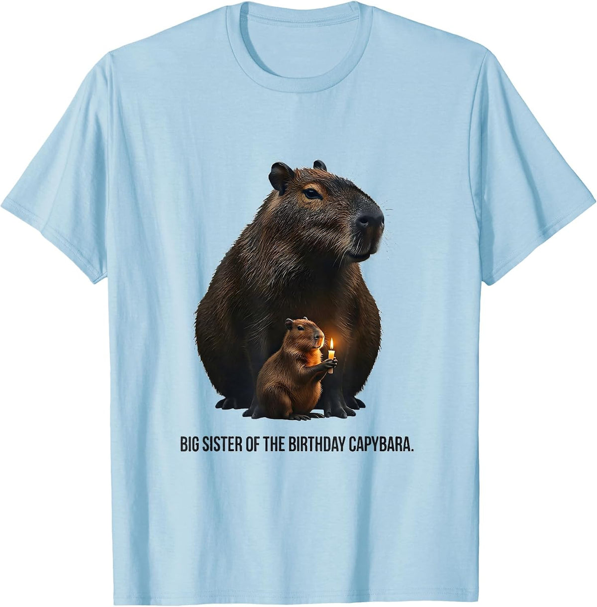 Men's Big Sister Of The Birthday Capybara Kawaii Girl Cute Animal T-Shirt - Baby Blue