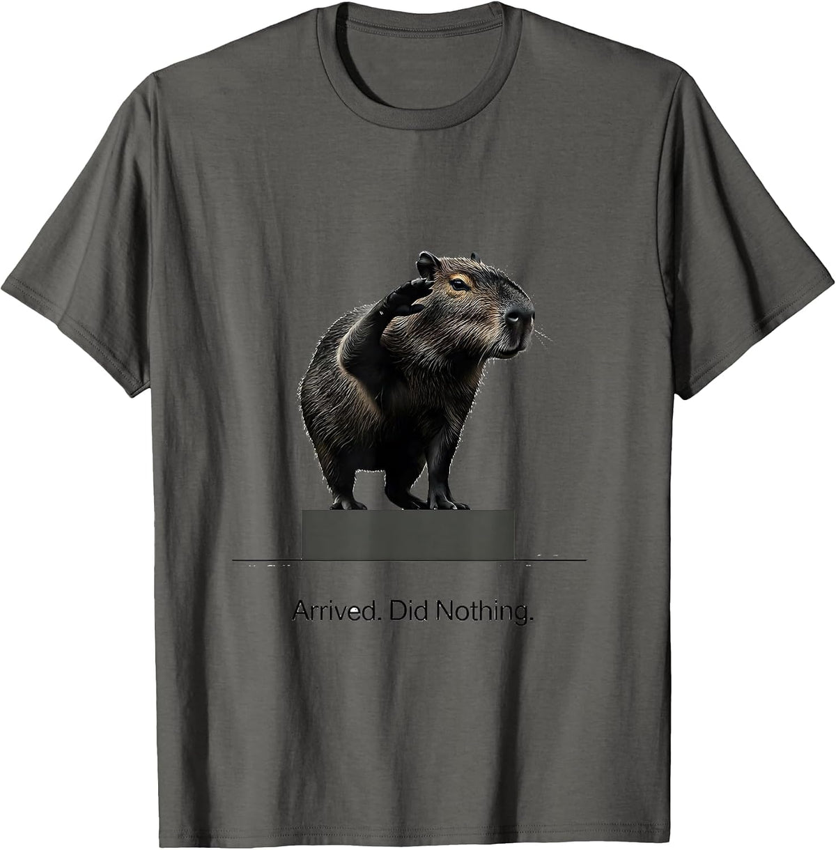 Men's Arrived. Did Nothing Minimalist Capybara Animal Meme Humor T-Shirt - Asphalt Grey