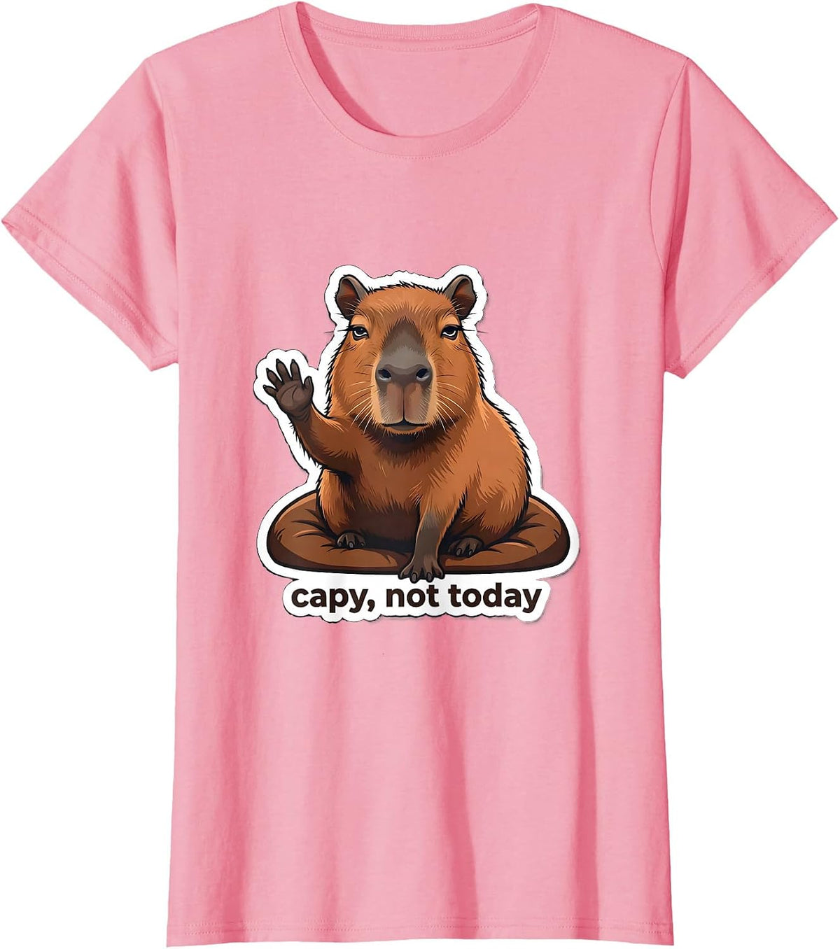 Women's capy, not today Funny Capybara Meme Animal Lover Humor T-Shirt - Pink