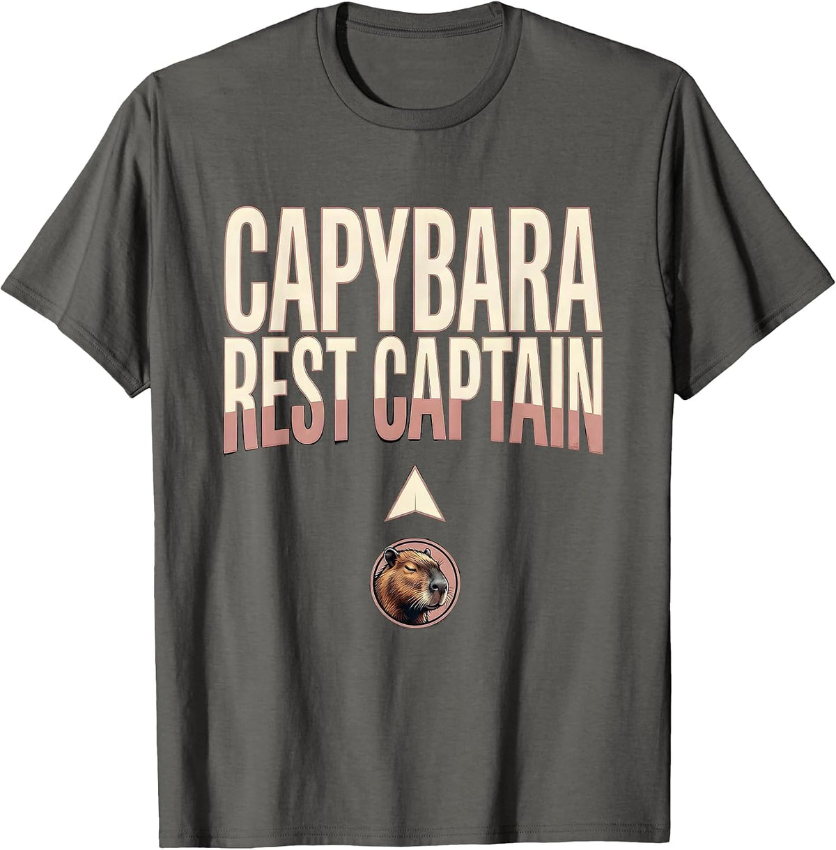 Capybara, Rest Captain Funny Gamer Gaming Meme Humor T-Shirt - Asphalt Grey