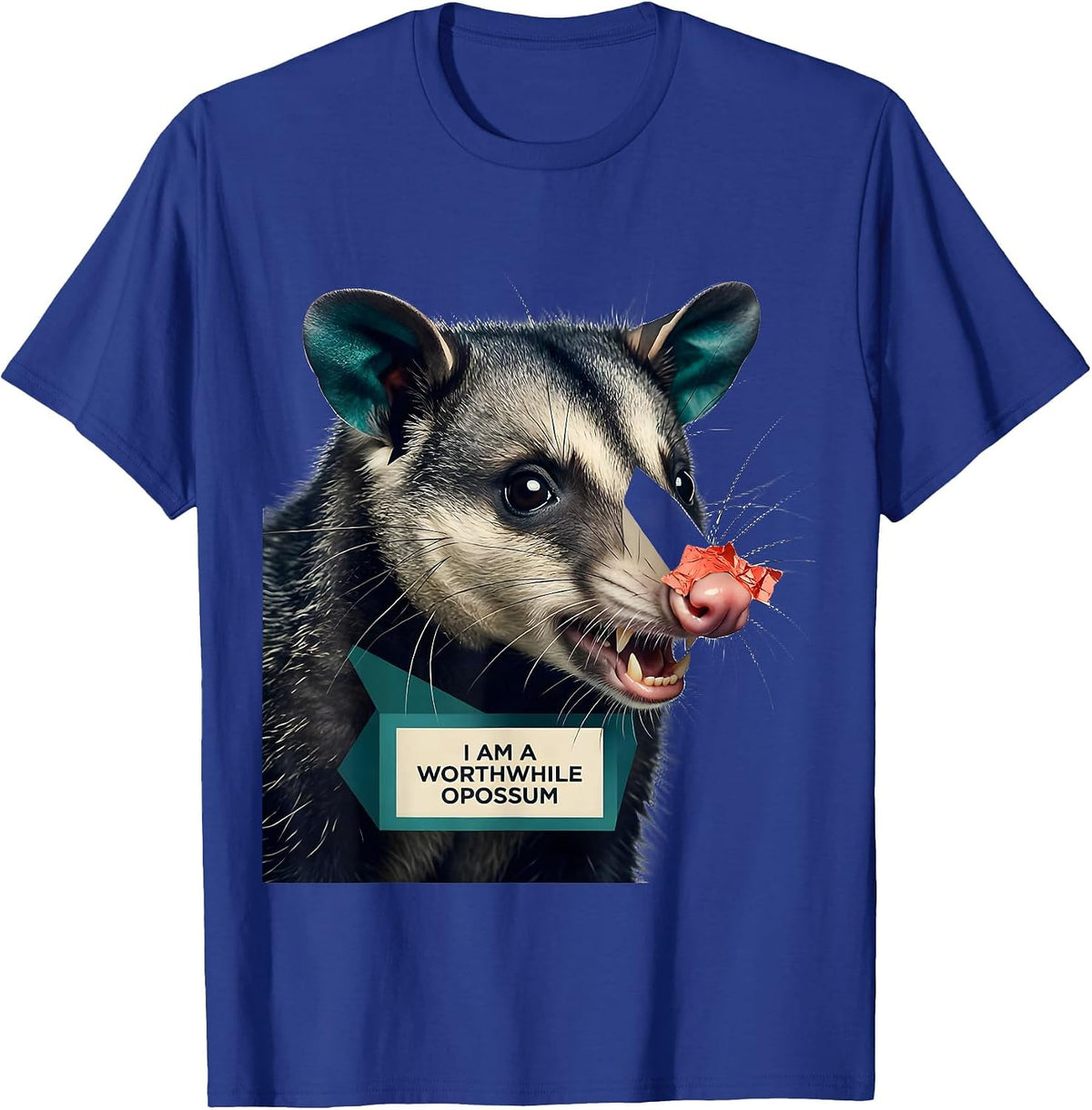 Men's I Am A Worthwhile Opossum Funny Opossum Lover Animal Meme T-Shirt - Royal Blue