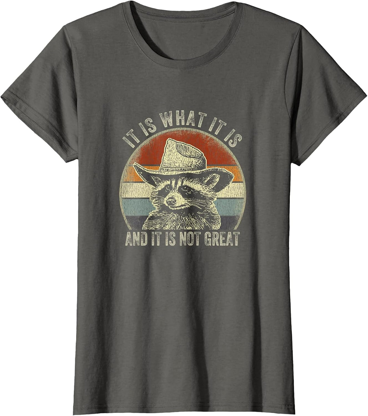 It is What It is and It is Not Great Raccoon Trash Panda T-Shirt - Asphalt Grey