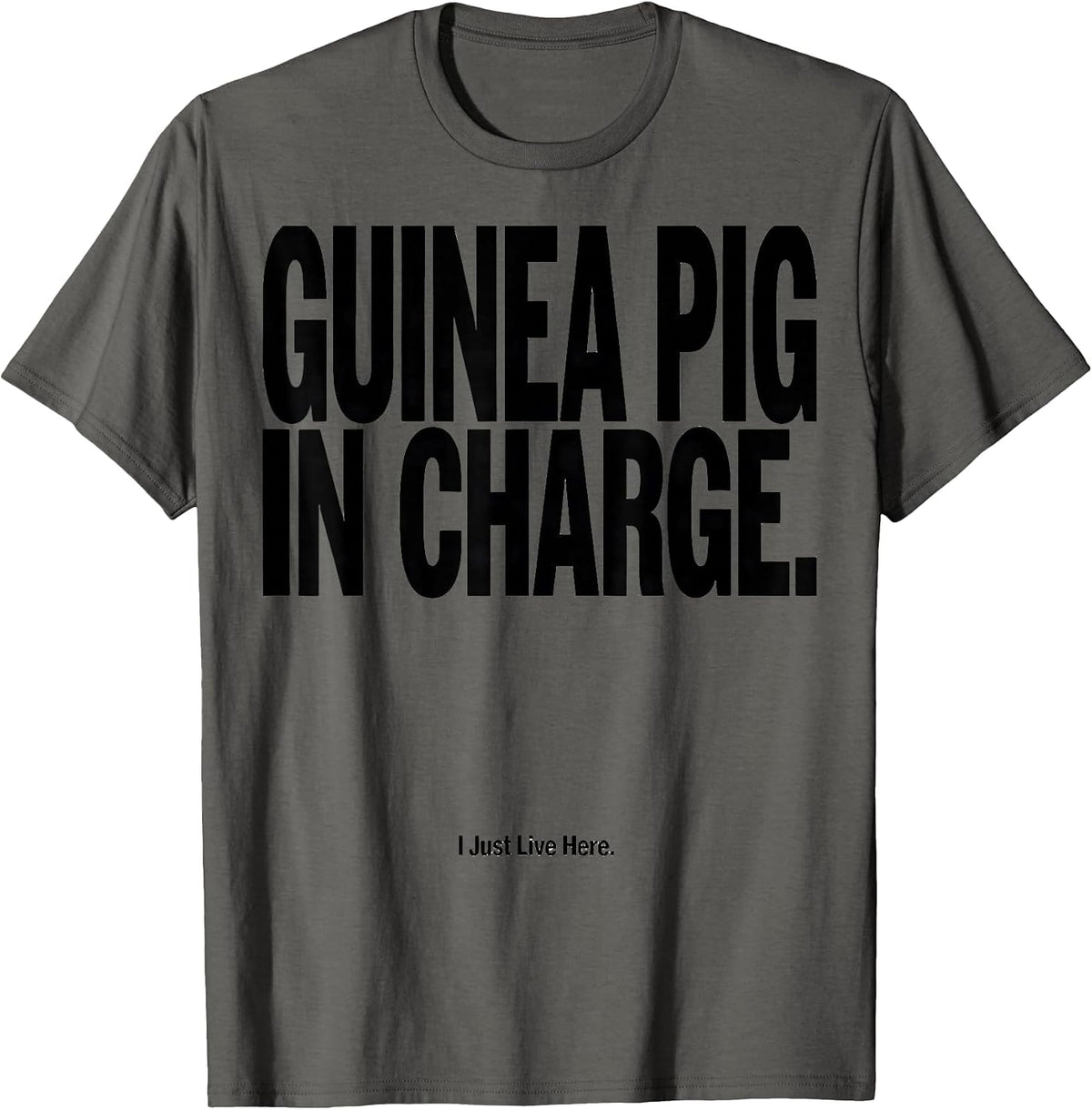 Guinea Pig In Charge I Just Live Here Funny T-Shirt - Asphalt Grey