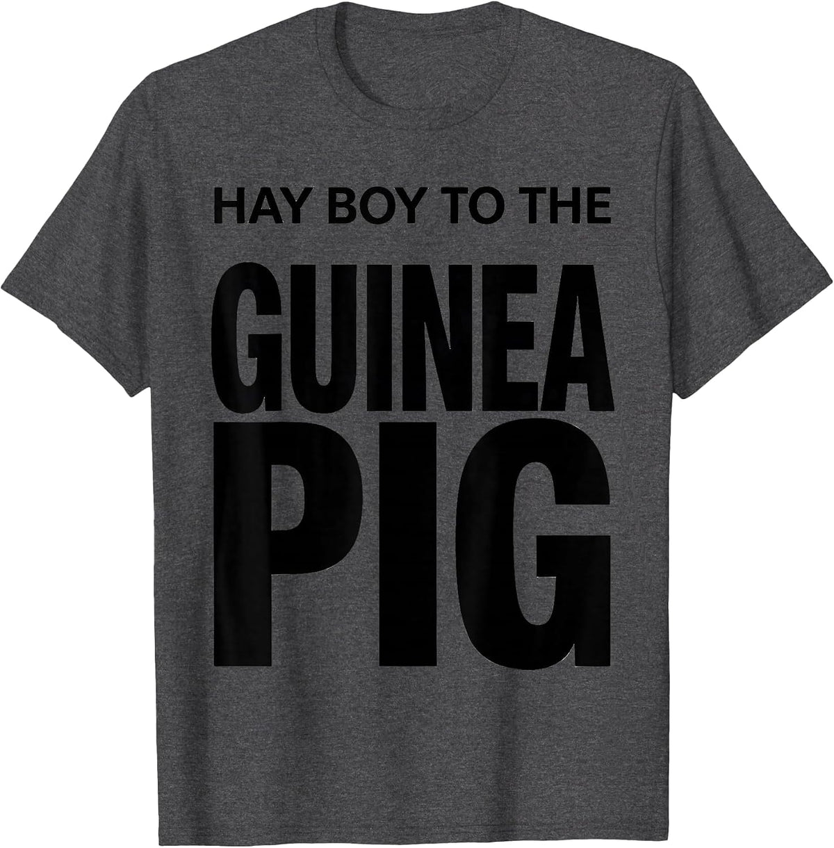 Hay Boy To The Guinea Pig Cute Cavy Lover Humor T-Shirt - Dark Heather Grey