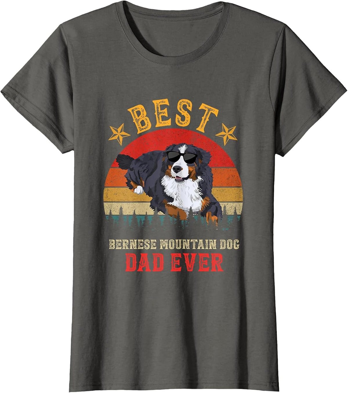 Best Dog Bernese Mountain Dad Ever Men Vintage Berner Dad T-Shirt - Asphalt Grey