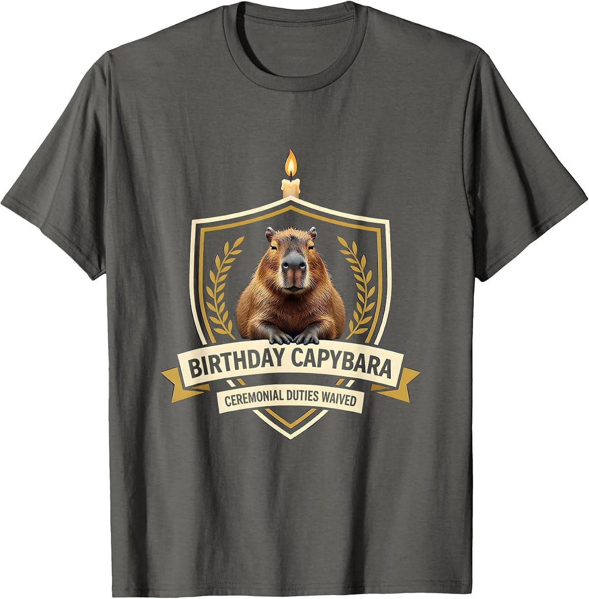 Men's Birthday Capybara, Ceremonial Duties Waived Funny T-Shirt - Asphalt Grey