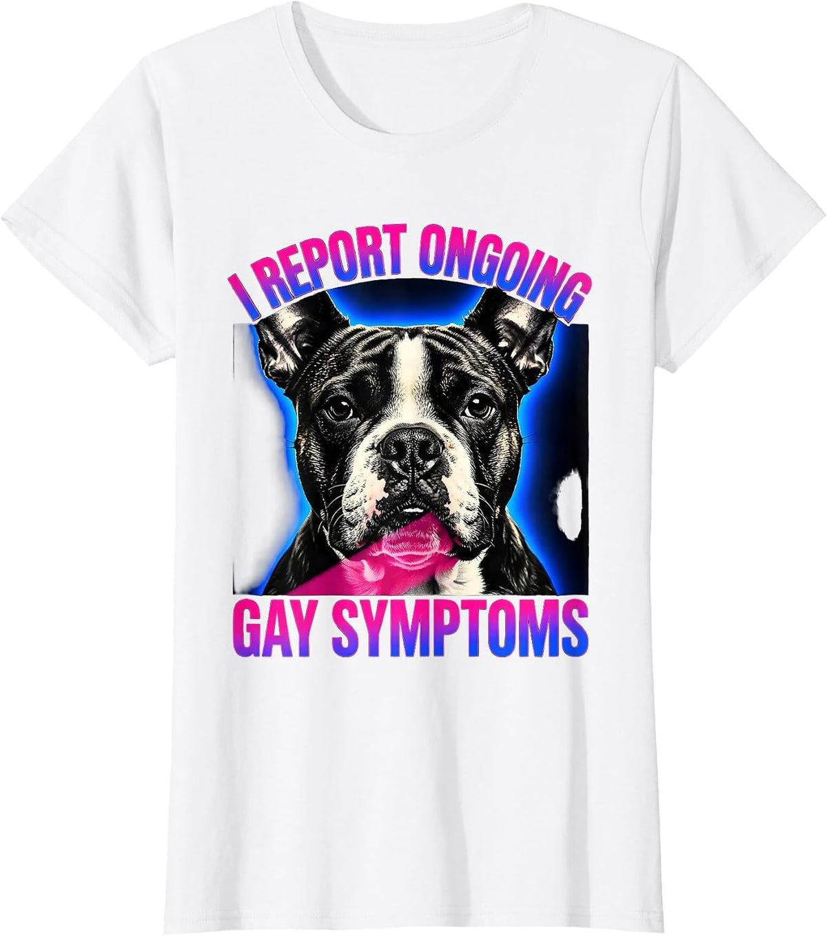 Women's I Report Ongoing Gay Symptoms Funny Bull Terrier Meme T-Shirt - White