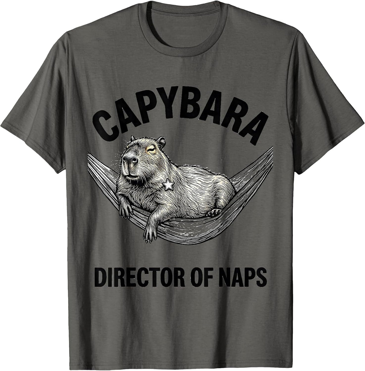 Capybara, Director of Naps Funny Gamer Meme Humor T-Shirt - Asphalt Grey