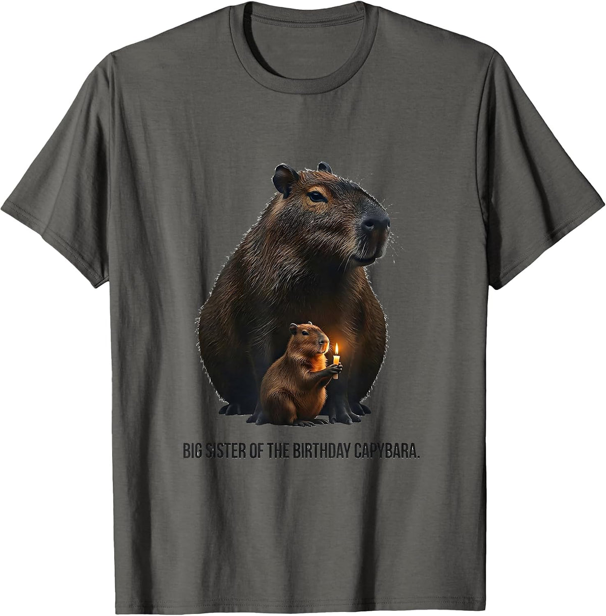 Men's Big Sister Of The Birthday Capybara Kawaii Girl Cute Animal T-Shirt - Asphalt Grey