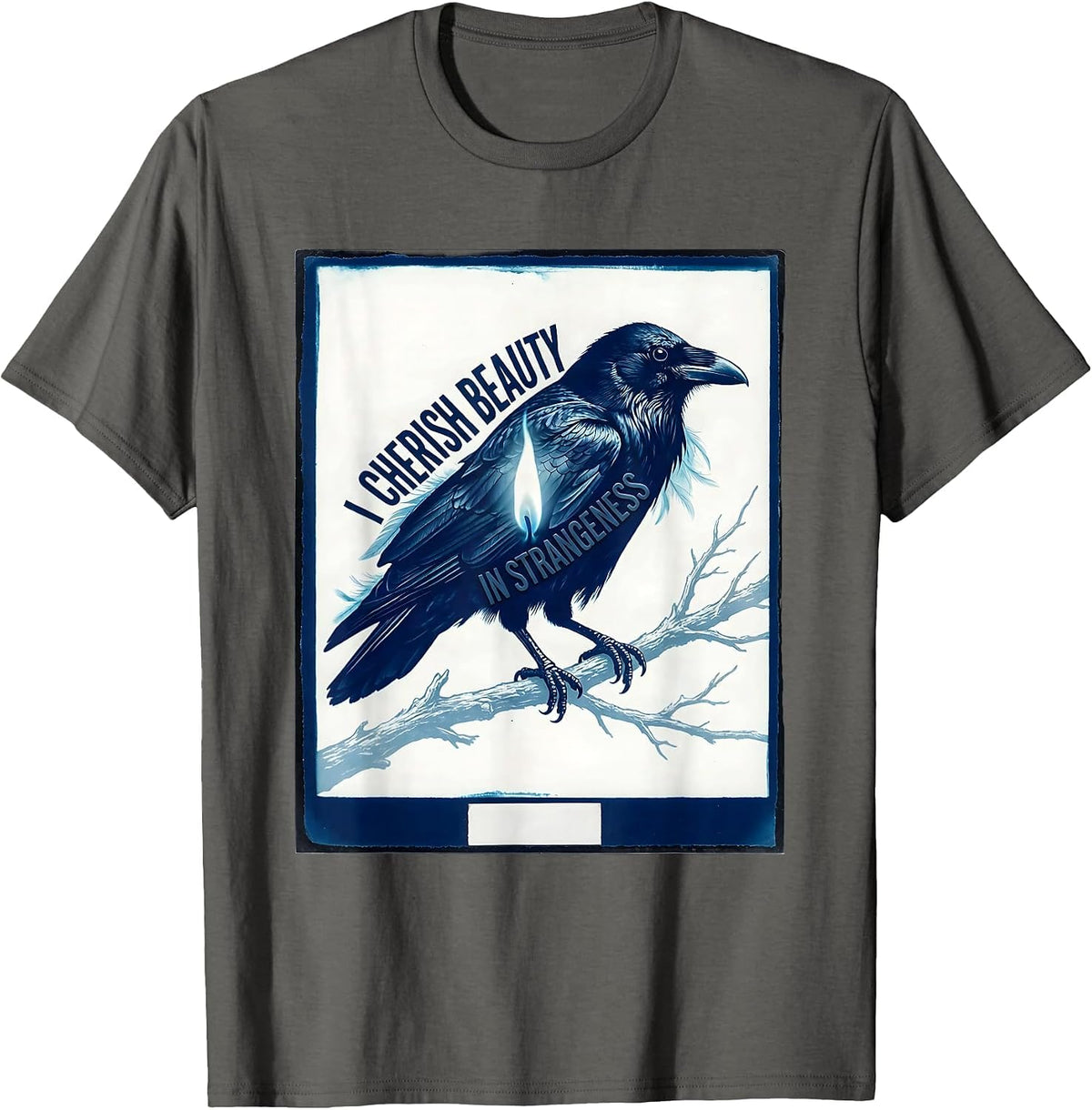 I Cherish Beauty In Strangeness Gothic Edgar Allan Poe Raven T-Shirt - Asphalt Grey