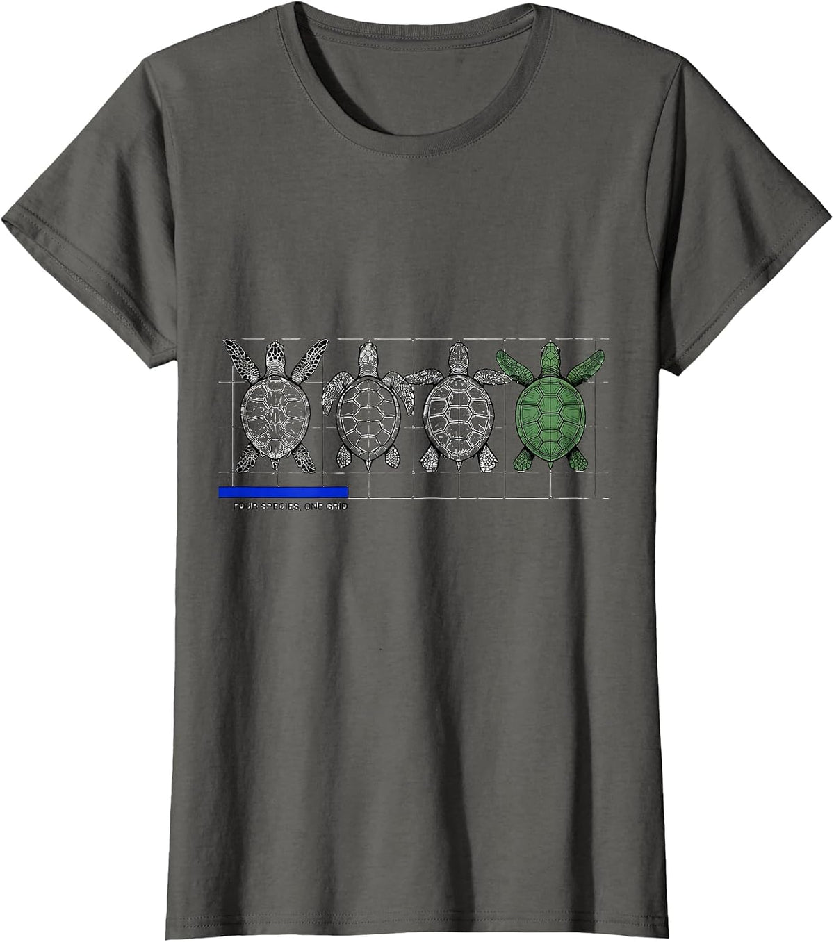Women's Four Species One Grid Swiss International Sea Turtle T-Shirt - Asphalt Grey