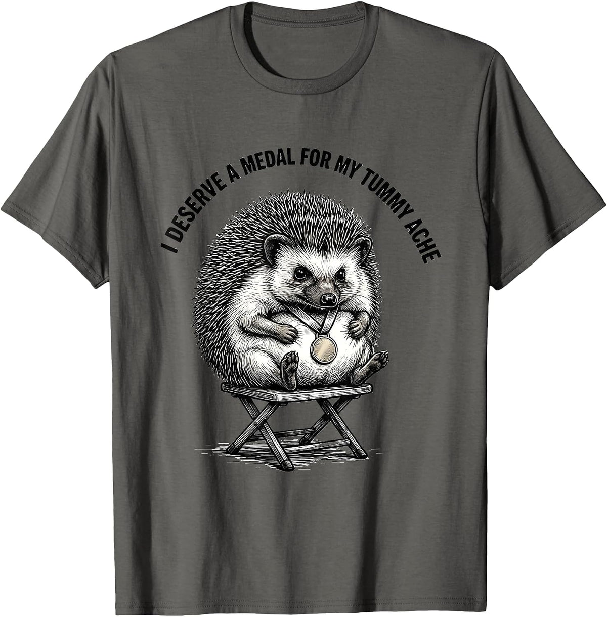 I Deserve A Medal For My Tummy Ache Funny Hedgehog Meme T-Shirt - Asphalt Grey