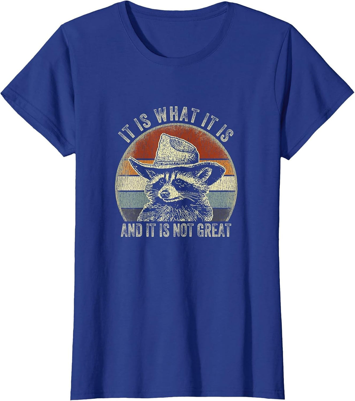It is What It is and It is Not Great Raccoon Trash Panda T-Shirt - Royal Blue