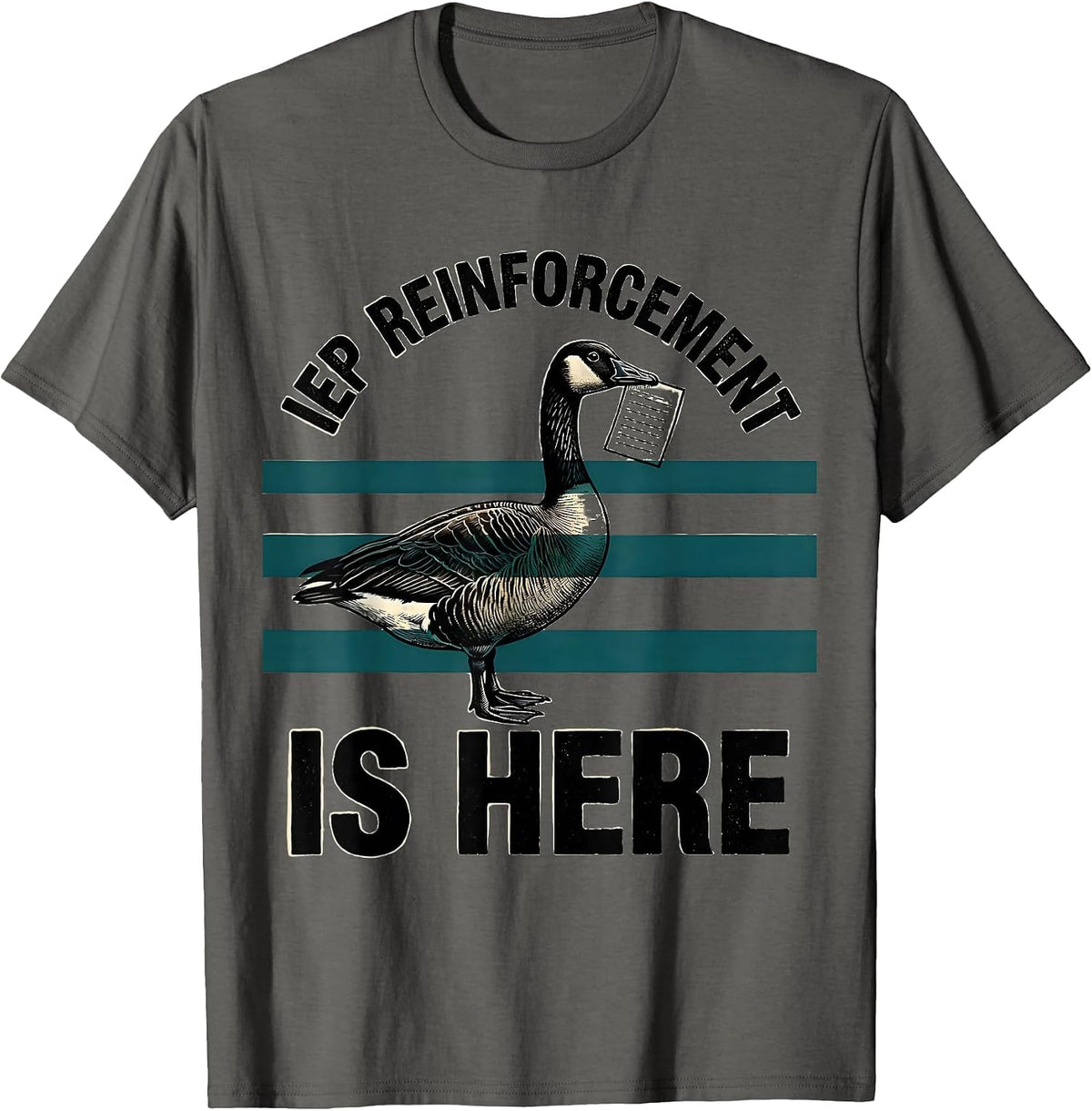 IEP Reinforcement Is Here Funny Special Education Teacher T-Shirt - Asphalt Grey