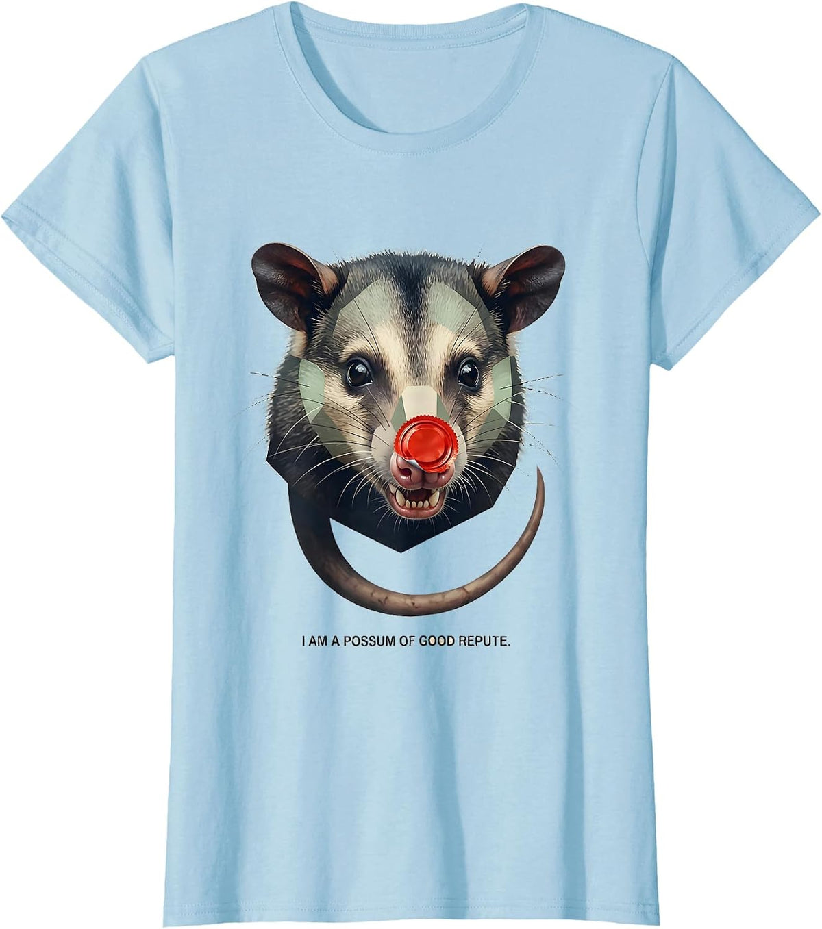 I Am A Possum Of Good Repute Funny Opossum Meme Animal Lover T-Shirt - Baby Blue