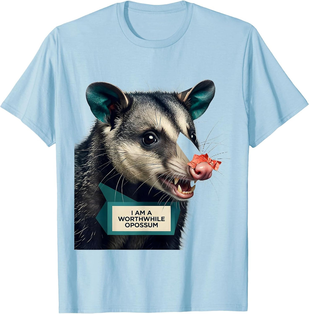 Men's I Am A Worthwhile Opossum Funny Opossum Lover Animal Meme T-Shirt - Baby Blue