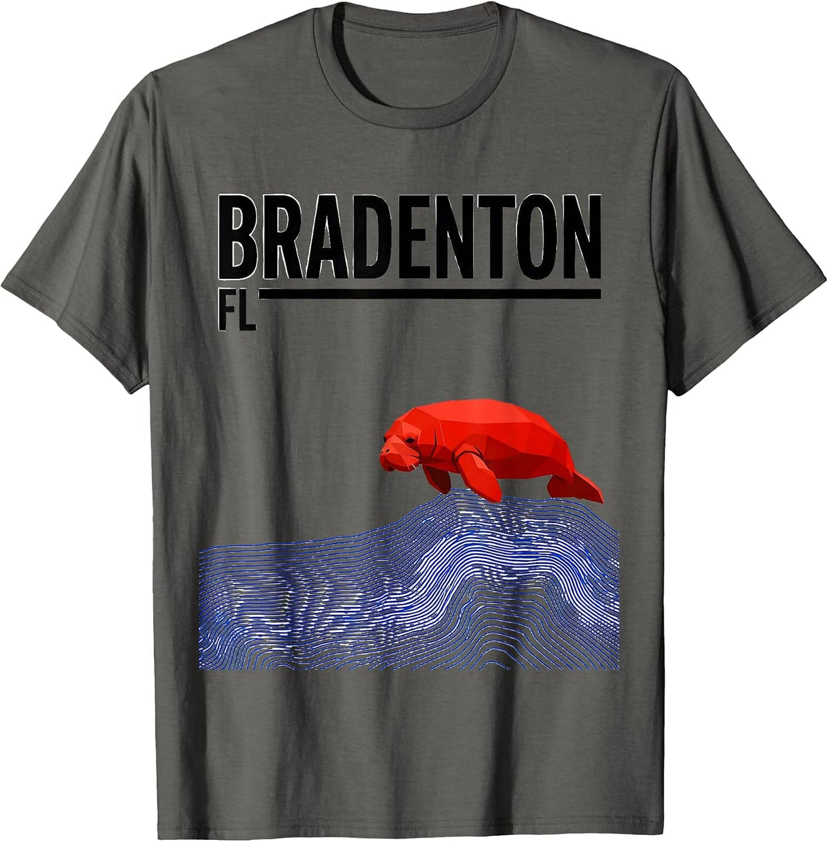 BRADENTON FL Vintage Swiss International Manatee River Retro T-Shirt - Asphalt Grey