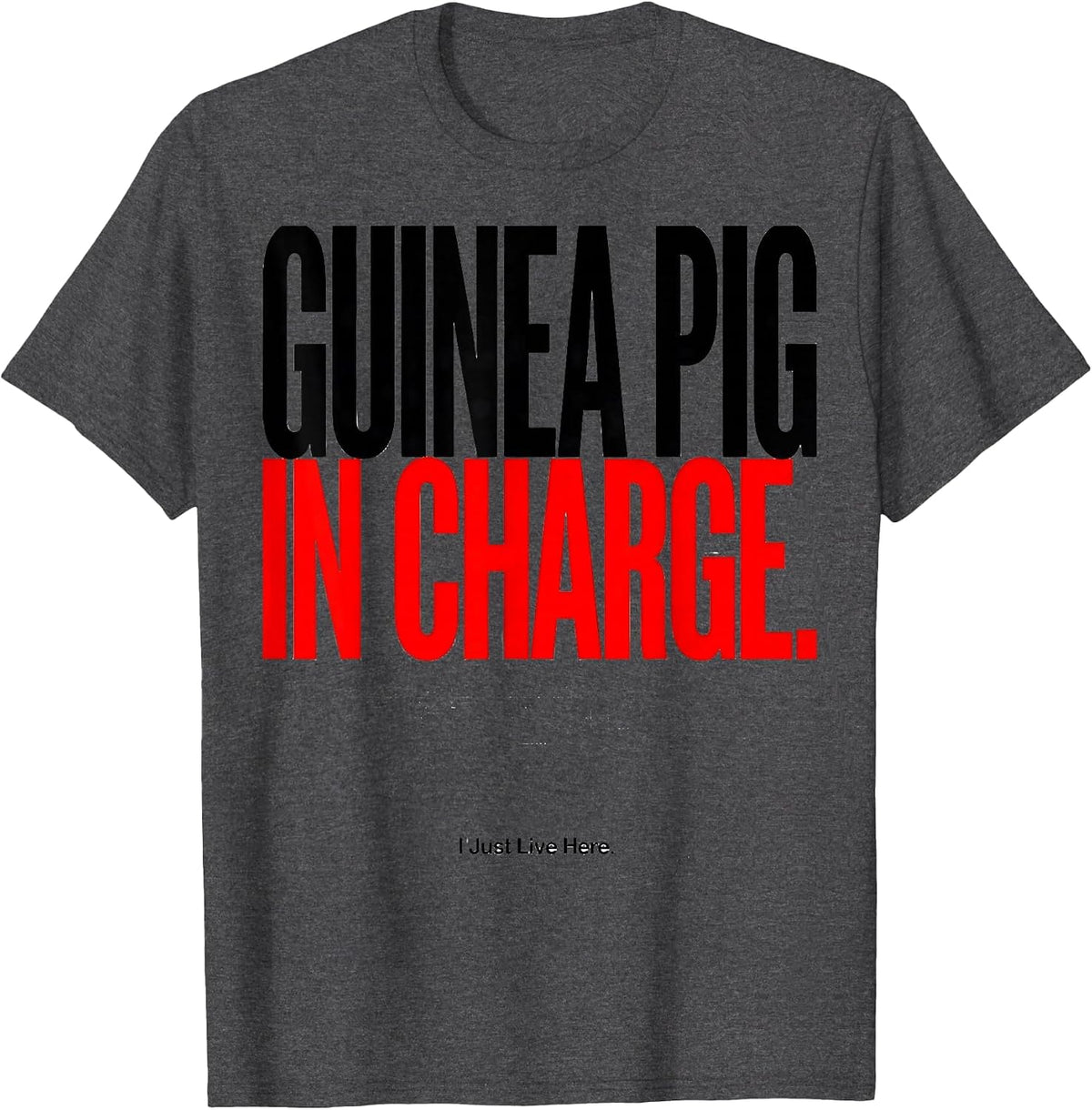 Men's Guinea Pig In Charge I Just Live Here Funny T-Shirt - Dark Heather Grey