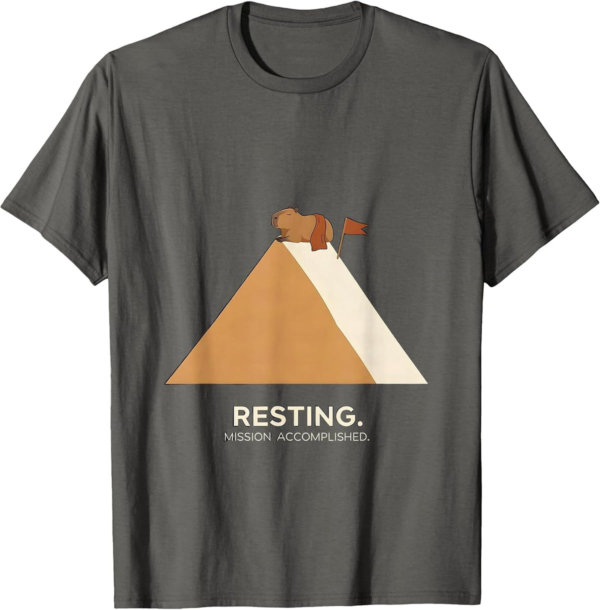 Resting Mission Accomplished Cute Capybara Sleepybara Sleep T-Shirt - Asphalt Grey