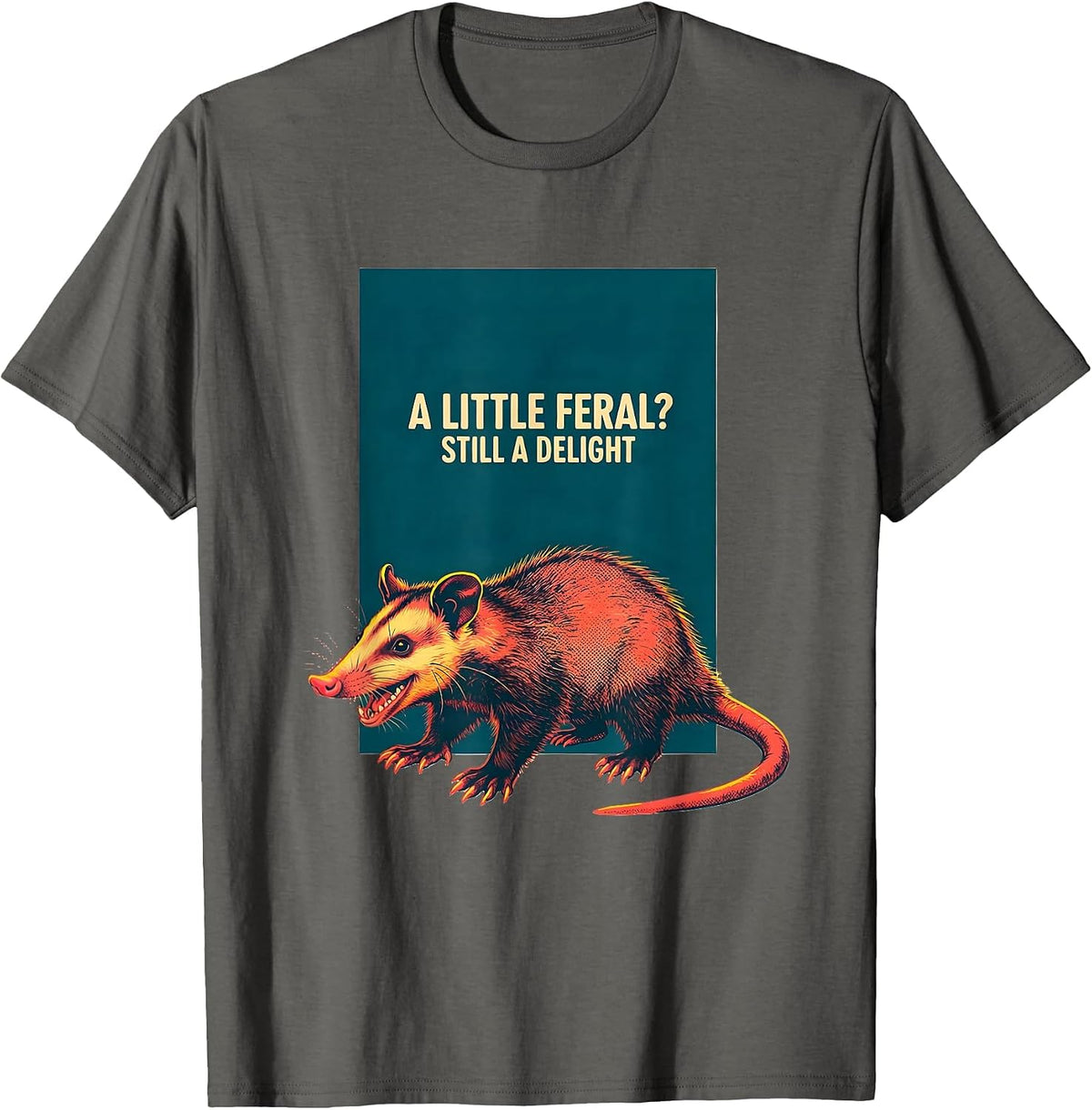 A Little Feral? Still A Delight Funny Opossum Animal Meme T-Shirt - Asphalt Grey