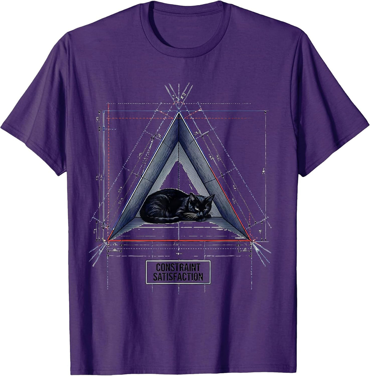 Constraint Satisfaction Funny Cat Math Science Teacher Gift T-Shirt - Purple
