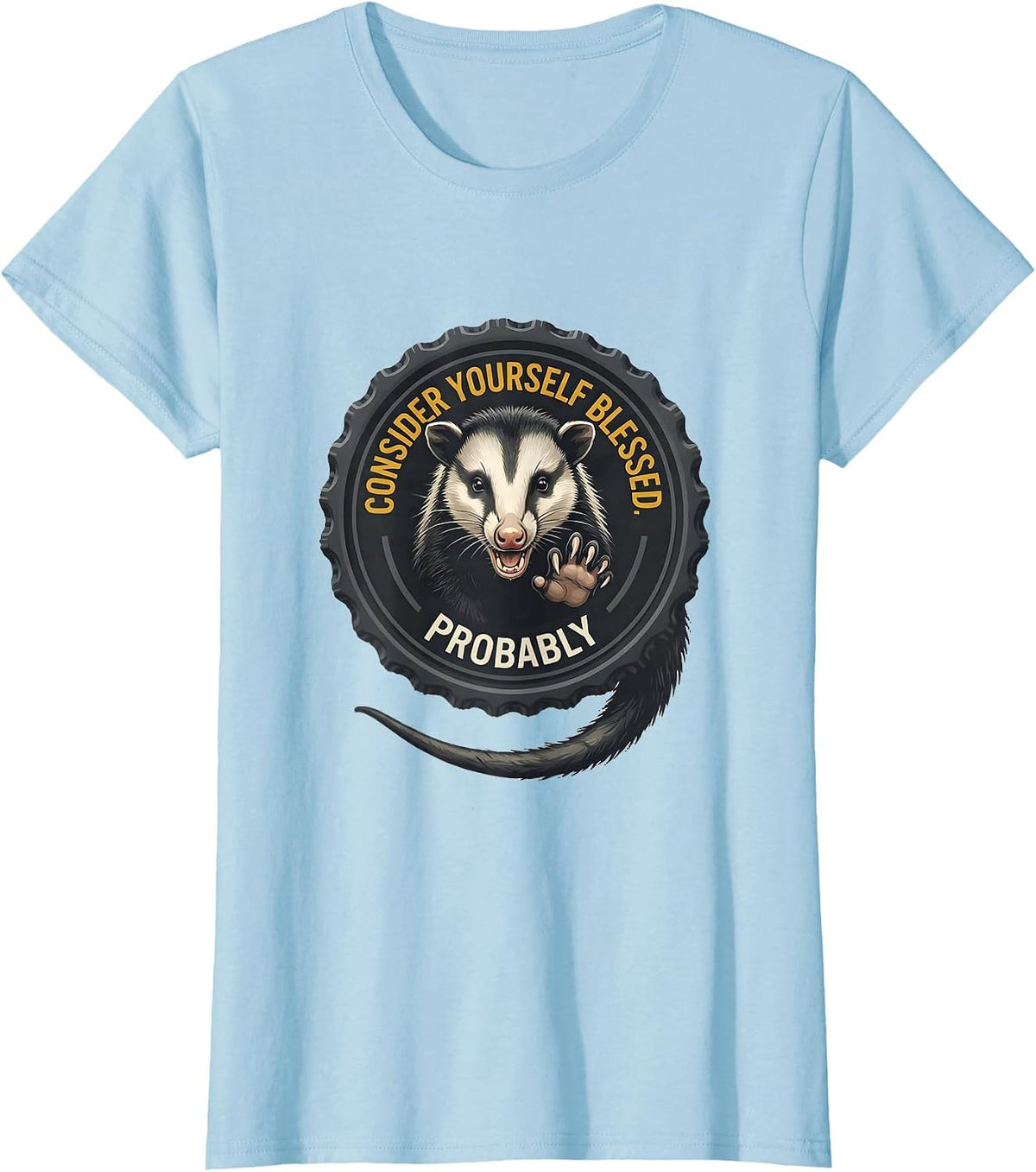 Consider Yourself Blessed Probably Funny Opossum Meme Possum T-Shirt - Baby Blue