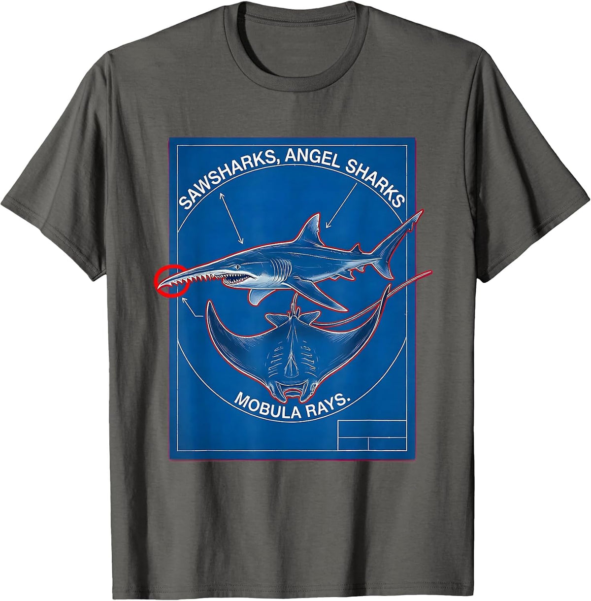 Men's Sawsharks, Angel Sharks, Mobula Rays Technical Blueprint T-Shirt - Asphalt Grey