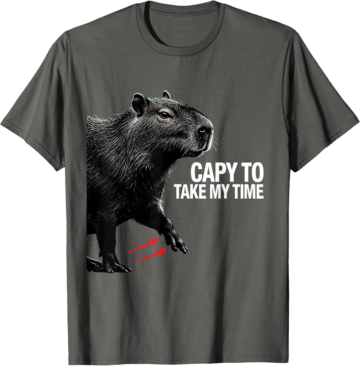 Capy To Take My Time Funny Capybara Animal Humor Youth T-Shirt - Asphalt Grey