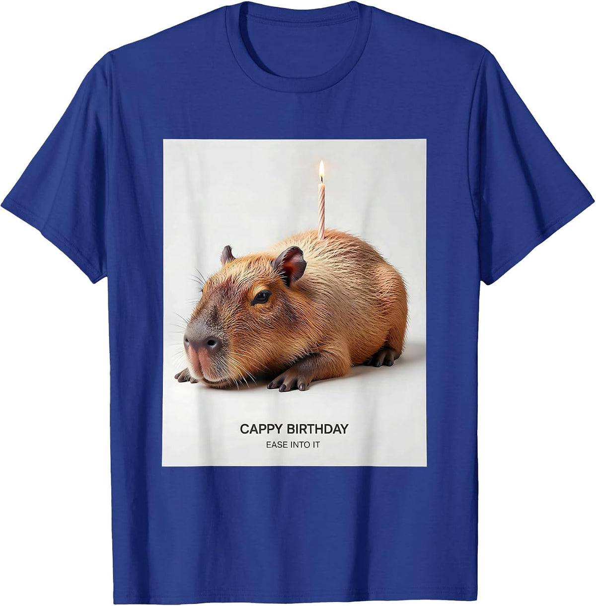 Cappy Birthday Ease Into It Cute Capybara Birthday Humor T-Shirt - Royal Blue